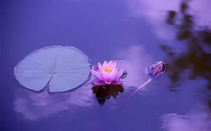 第三世多杰羌佛圣量 死而复生至极乐