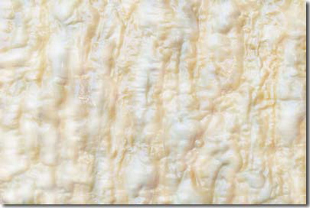 第三世多杰羌佛五明成就 工巧明之玉板图片 第4张 第三世多杰羌佛五明成就 工巧明之玉板 第4张