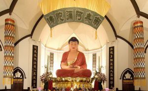 高速飞行具神足 法师有道显真功