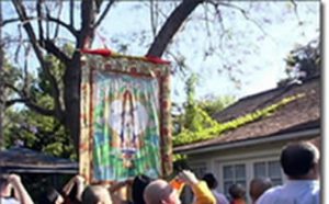 第三世多杰羌佛圣迹 紫樱花树降甘露