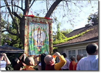 第三世多杰羌佛圣迹 紫樱花树降甘露 第1张