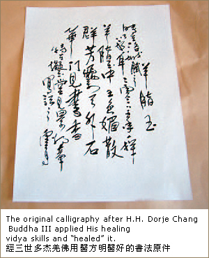 工厂专家束手无策 大法王上师声到病除图片 第2张 工厂专家束手无策 大法王上师声到病除 第2张