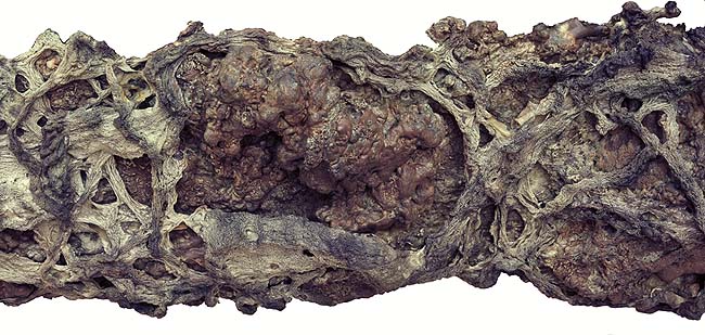 第三世多杰羌佛五明成就 工巧明之枯藤古化 第4张