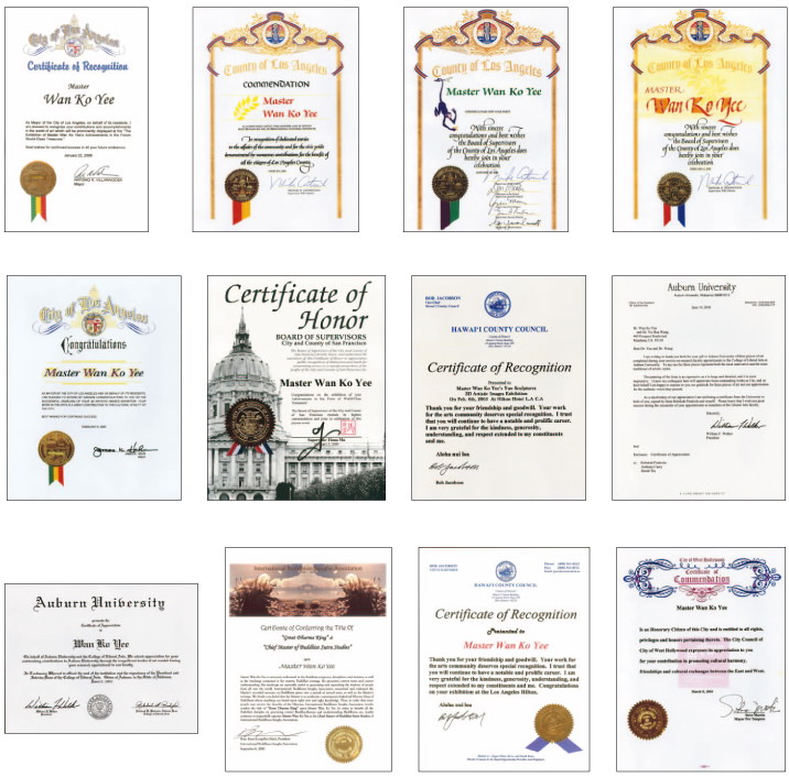 H.H.第三世多杰羌佛获得的各种荣誉图片 第4张 H.H.第三世多杰羌佛获得的各种荣誉 第4张