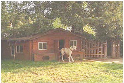 第三世多杰羌佛五明成就 工巧明之建筑庭园风景图片 第6张 第三世多杰羌佛五明成就 工巧明之建筑庭园风景 第6张