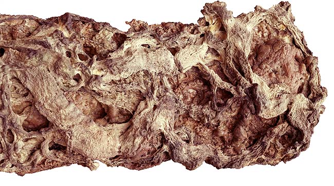 第三世多杰羌佛五明成就 工巧明之枯藤古化 第3张