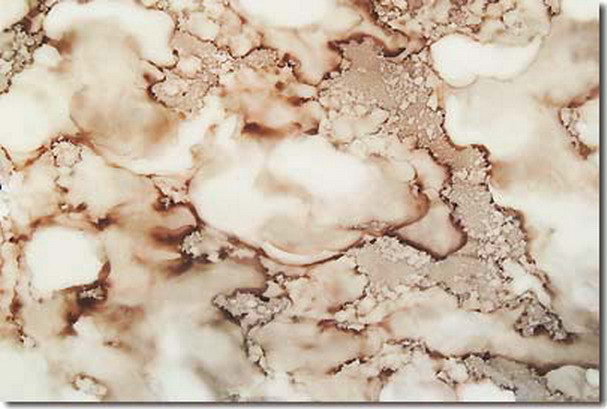 第三世多杰羌佛五明成就 工巧明之玉板图片 第10张 第三世多杰羌佛五明成就 工巧明之玉板 第10张