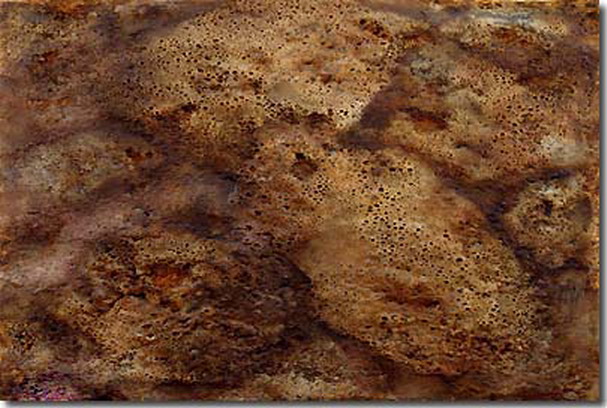 第三世多杰羌佛五明成就 工巧明之玉板图片 第8张 第三世多杰羌佛五明成就 工巧明之玉板 第8张