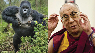 十四世达赖谤佛毁经 坑害众生 第4张