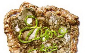 第三世多杰羌佛工巧明展显之壁挂