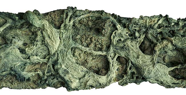 第三世多杰羌佛五明成就 工巧明之枯藤古化 第2张