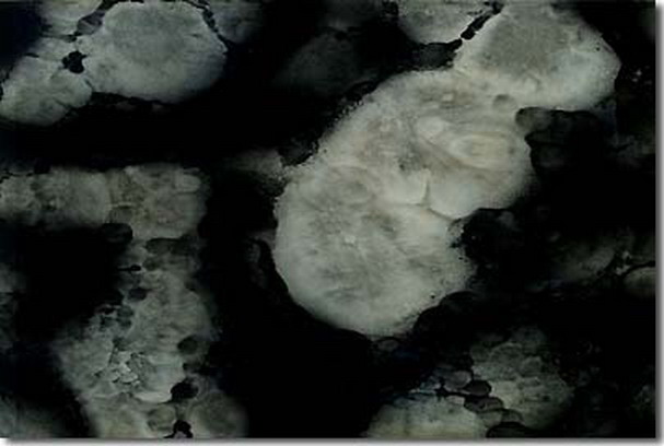 第三世多杰羌佛五明成就 工巧明之玉板图片 第6张 第三世多杰羌佛五明成就 工巧明之玉板 第6张