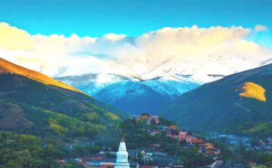 第三世多杰羌佛杰出成就贡献荣获金质奖章