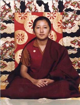 康卓公主仁波且祝贺南无第三世多杰羌佛 第1张