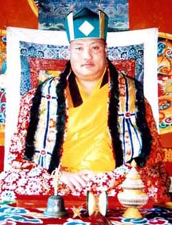 噶玛噶举绿宝冠法王杰仲仁波且