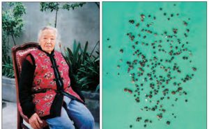 我母亲“唐婆婆”得解脱