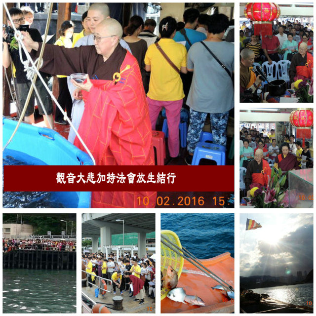 隆慧法师圆满结束2016香港弘法行图片 第2张 隆慧法师圆满结束2016香港弘法行 第2张