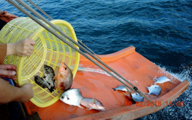 隆慧法师圆满结束2016香港弘法行图片 第6张 隆慧法师圆满结束2016香港弘法行 第6张