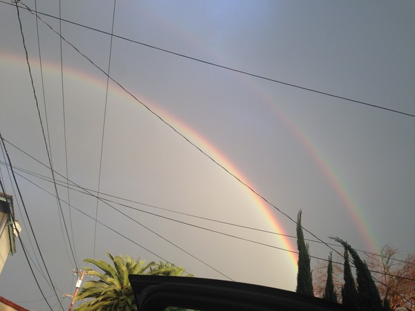 因海玉尊圆寂 法体神变成金刚不坏身 创佛史新页 第10张