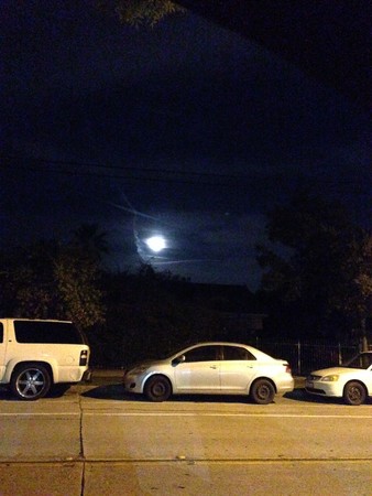 因海玉尊圆寂 法体神变成金刚不坏身 创佛史新页 第12张