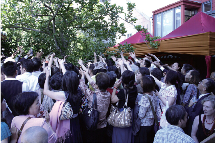 《揭开真相》（二十） 一书入寺木棉惊　神奇难测功绝顶 第3张