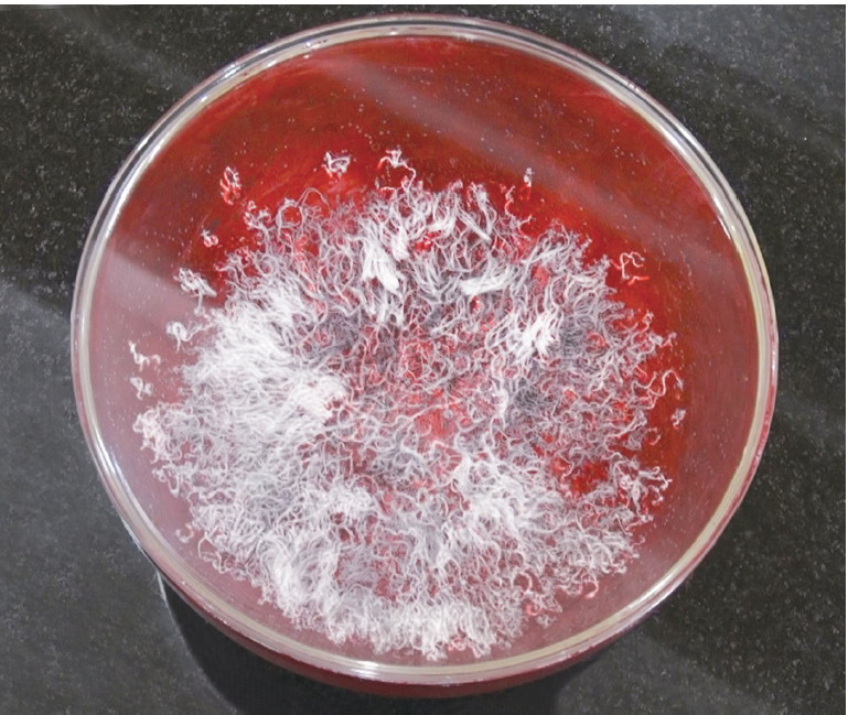 《古佛降世的背后》我为什么这么愚笨呢？ 第2张