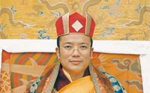 第十二世泰锡度仁波切简介