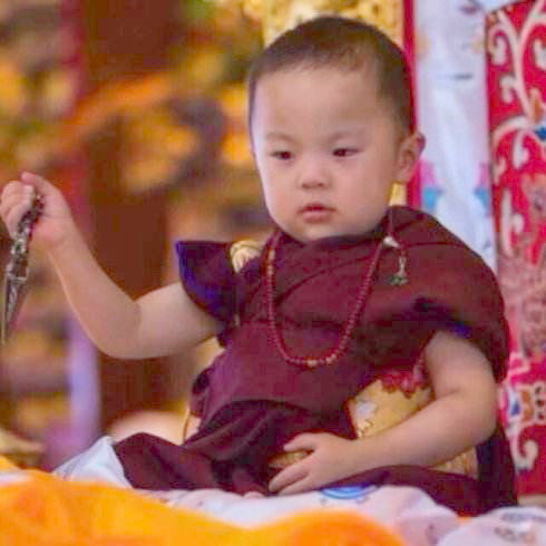 白玉寺举行贝诺法王转世灵童坐床大典