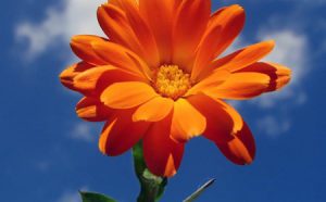 坚持行善，人生没有不好的