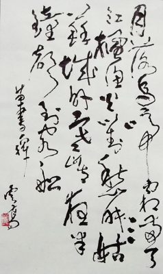 【我的别样春节系列】重访寒山寺,千年古刹钟声依然悠悠图片 第2张 【我的别样春节系列】重访寒山寺,千年古刹钟声依然悠悠 第2张