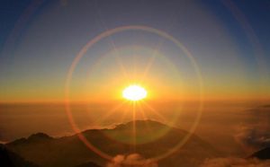 大多数人走向了生老病死，可他们却超越了轮回