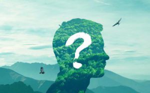 气功大师为人治病无数却治不好妻子的病，突然醒悟皈依佛门