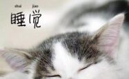 是谁，偷走了你的睡眠，盗走了你的好梦？