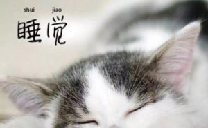 是谁，偷走了你的睡眠，盗走了你的好梦？