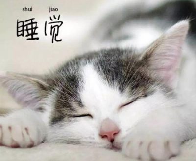 是谁，偷走了你的睡眠，盗走了你的好梦？