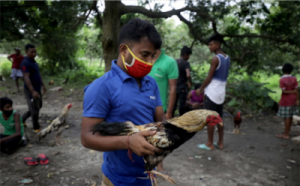 警钟：这些人虐杀动物却反被动物杀