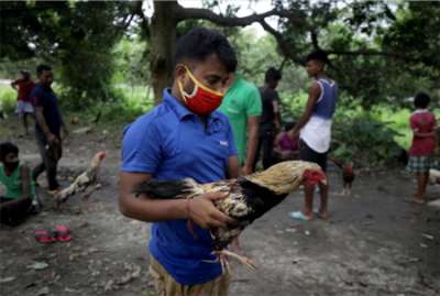 警钟：这些人虐杀动物却反被动物杀