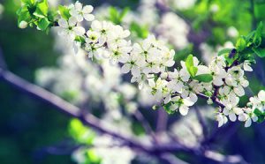 在人群中修行，在生活中悟理