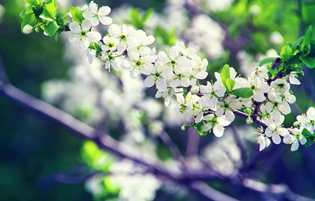 在人群中修行，在生活中悟理