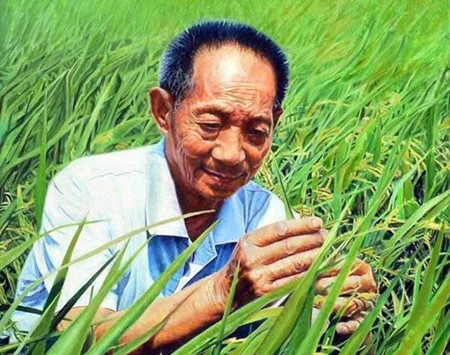 珍惜每一粒米，是对袁老最好的致敬