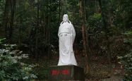 梅园游记：探古访今，唯有暗香动人